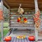 Thanksgiving Turkey Door Sign – Rustic “Gobble Gobble” Fall Welcome Hanging Decor, Wooden Autumn Harvest Wall Sign for Front Door, Porch, Kitchen & Home Seasonal Decorations